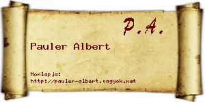 Pauler Albert névjegykártya